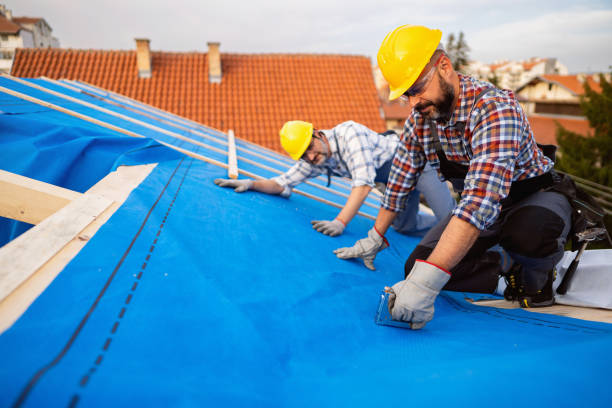 Best Roof Insulation Installation  in Drexel Hill, PA